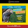 Parrot_genius_