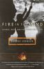 Fire_in_the_mind