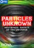 Particles_unknown